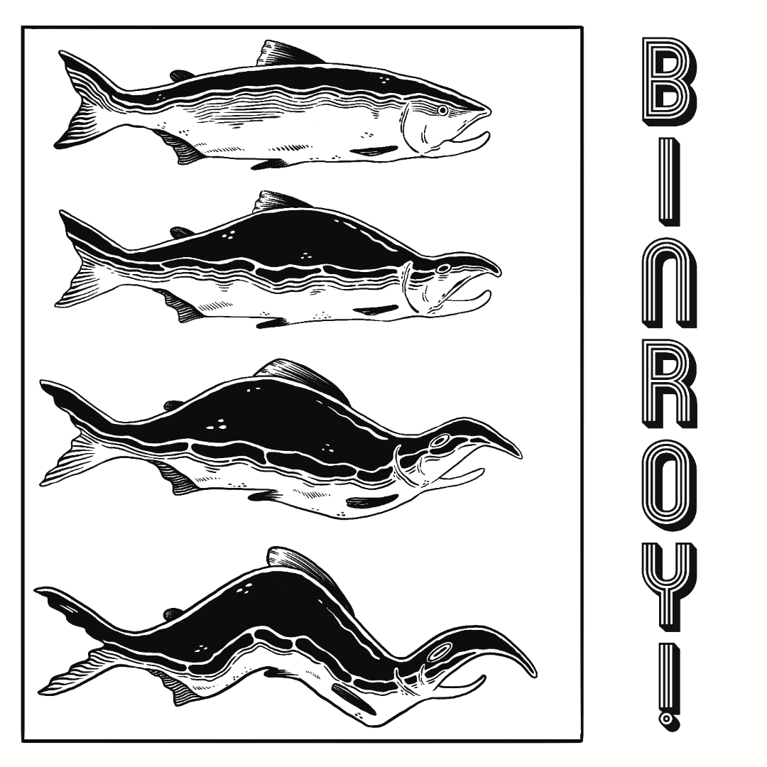 BINROY EP Cover